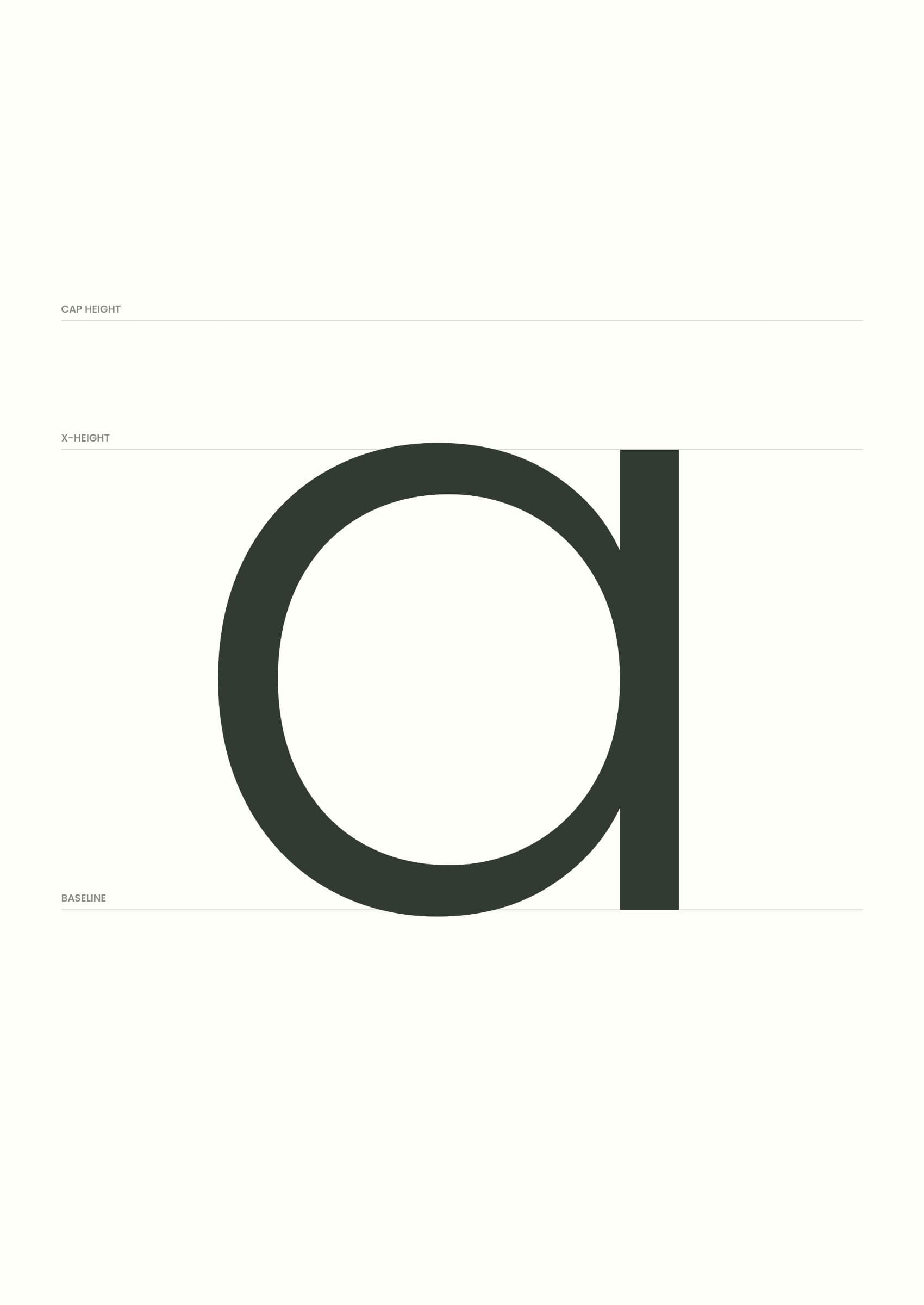 The single-storey a from the level labels as a type specimen