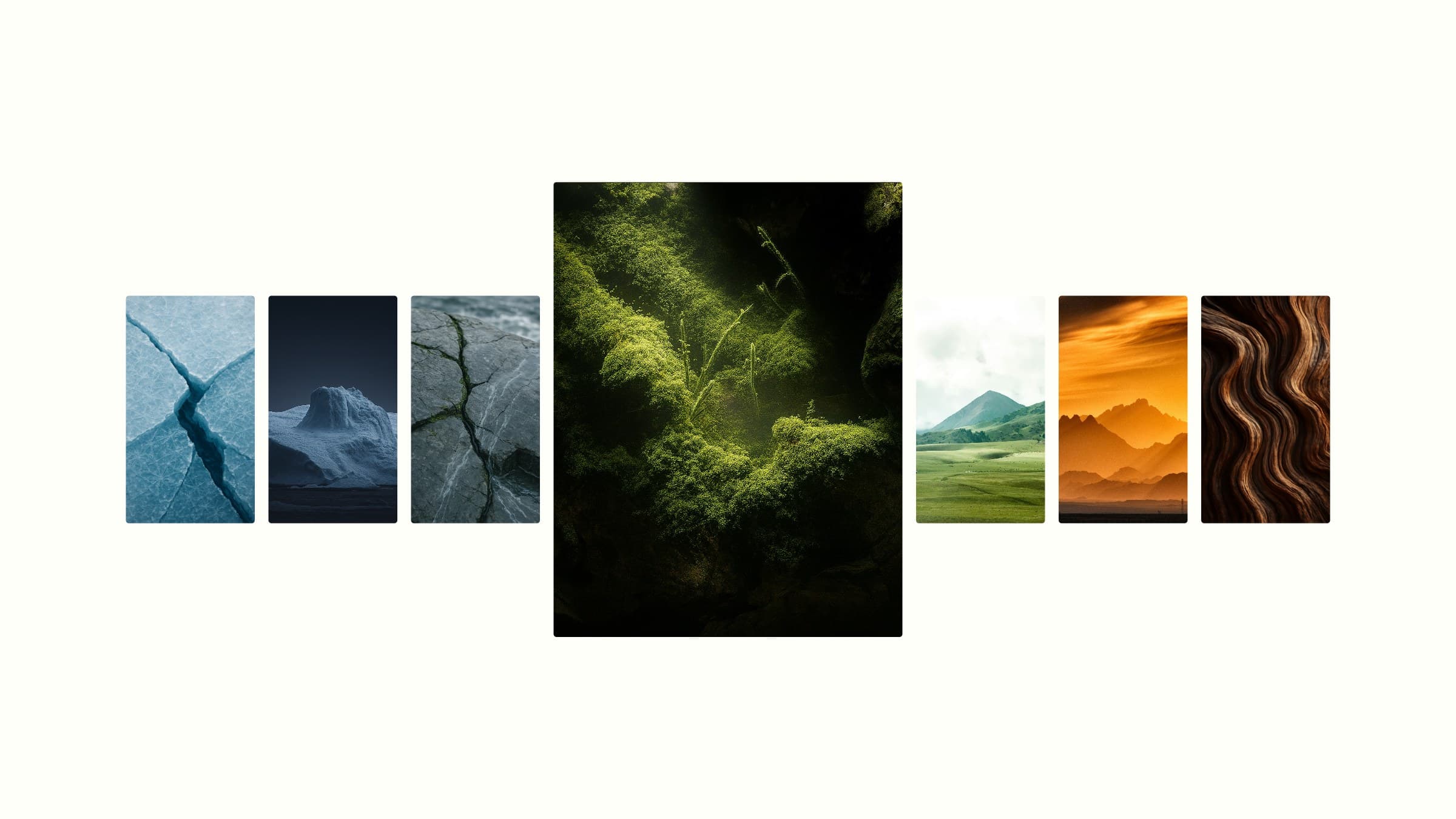 Seven world photographs, from ice to gold