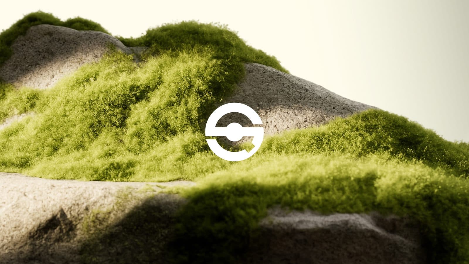 Het Q-Selection-symbool op een bemost landschap
